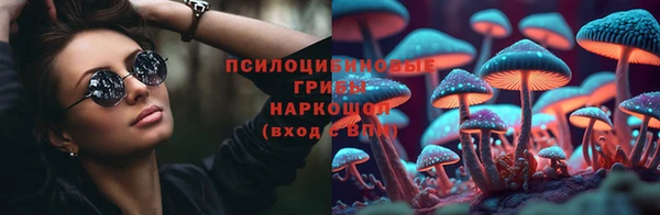 шишки Абинск