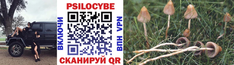 купить наркотик  Нахабино  Галлюциногенные грибы мухоморы 